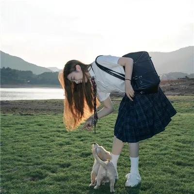 宠物粉红鹅卵石